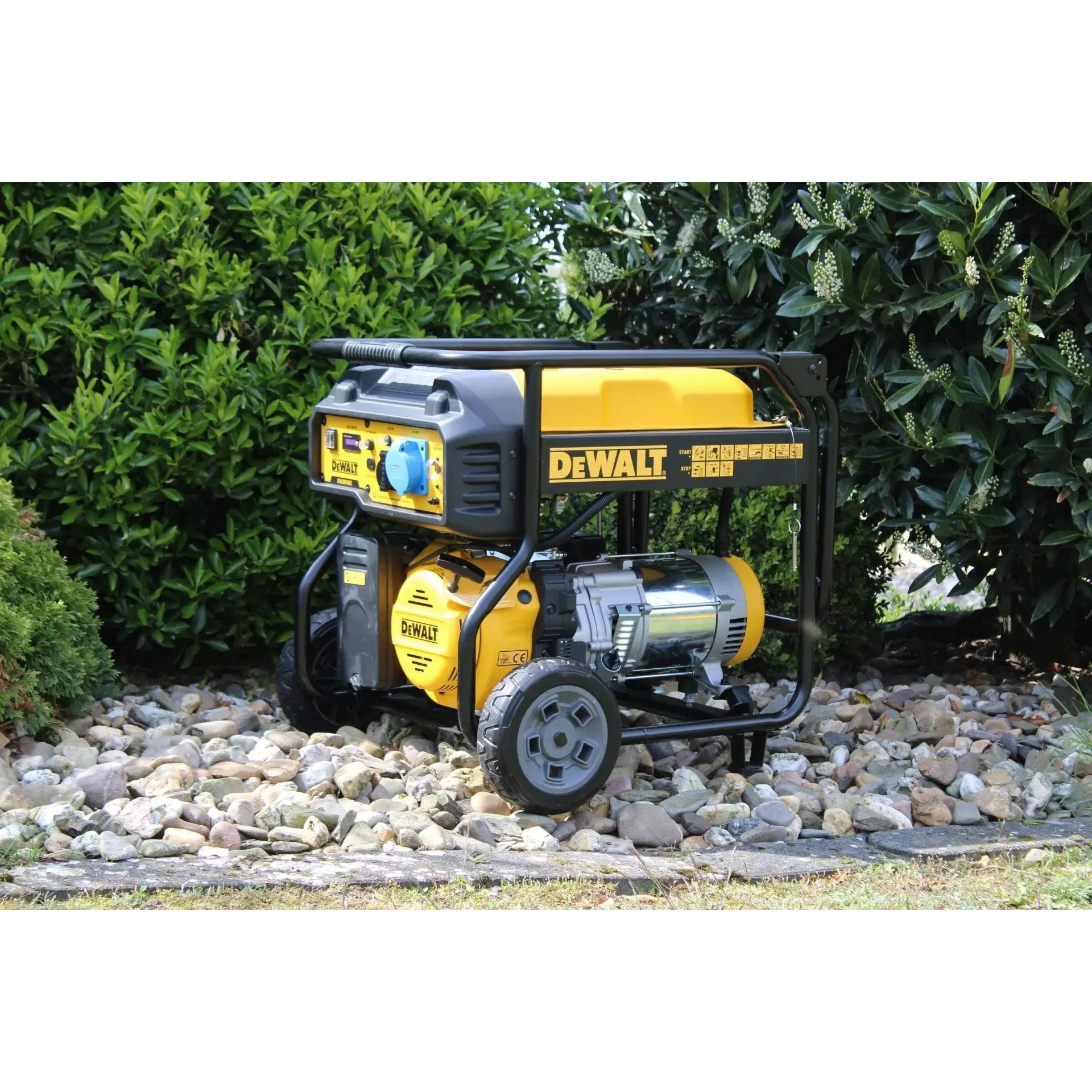 6500 Watt Benzin AVR Stromerzeuger DeWalt DXGNP65E - Image 6