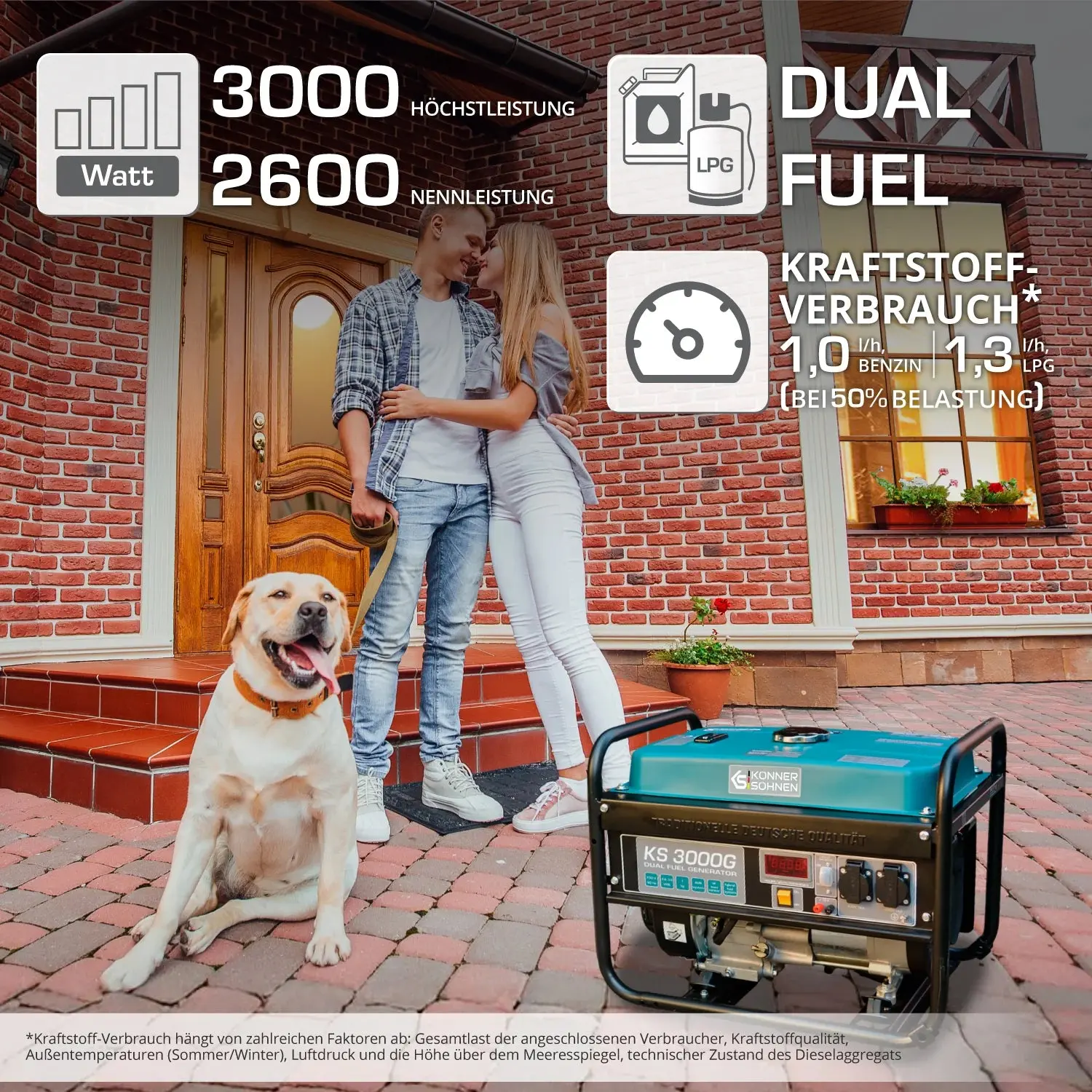 DualFuel Stromerzeuger AVR 3000 Watt Könner & Söhnen KS 3000G - Image 12