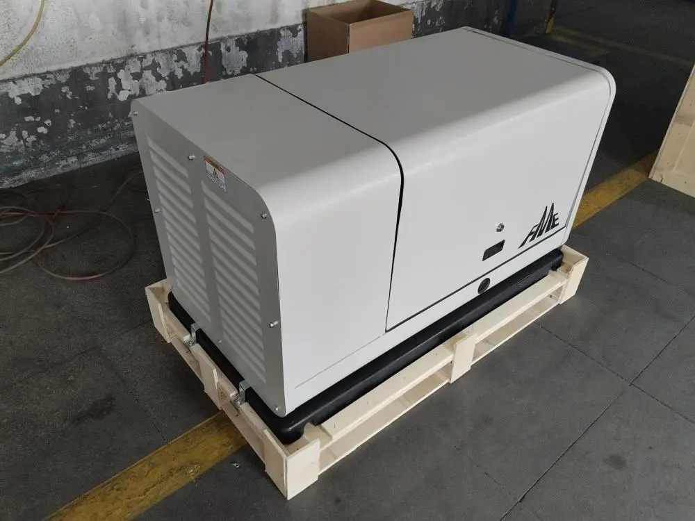 Gas Stromerzeuger FME GA12000 /GG14- LPG / NG mit ATS Anschluss - Image 4